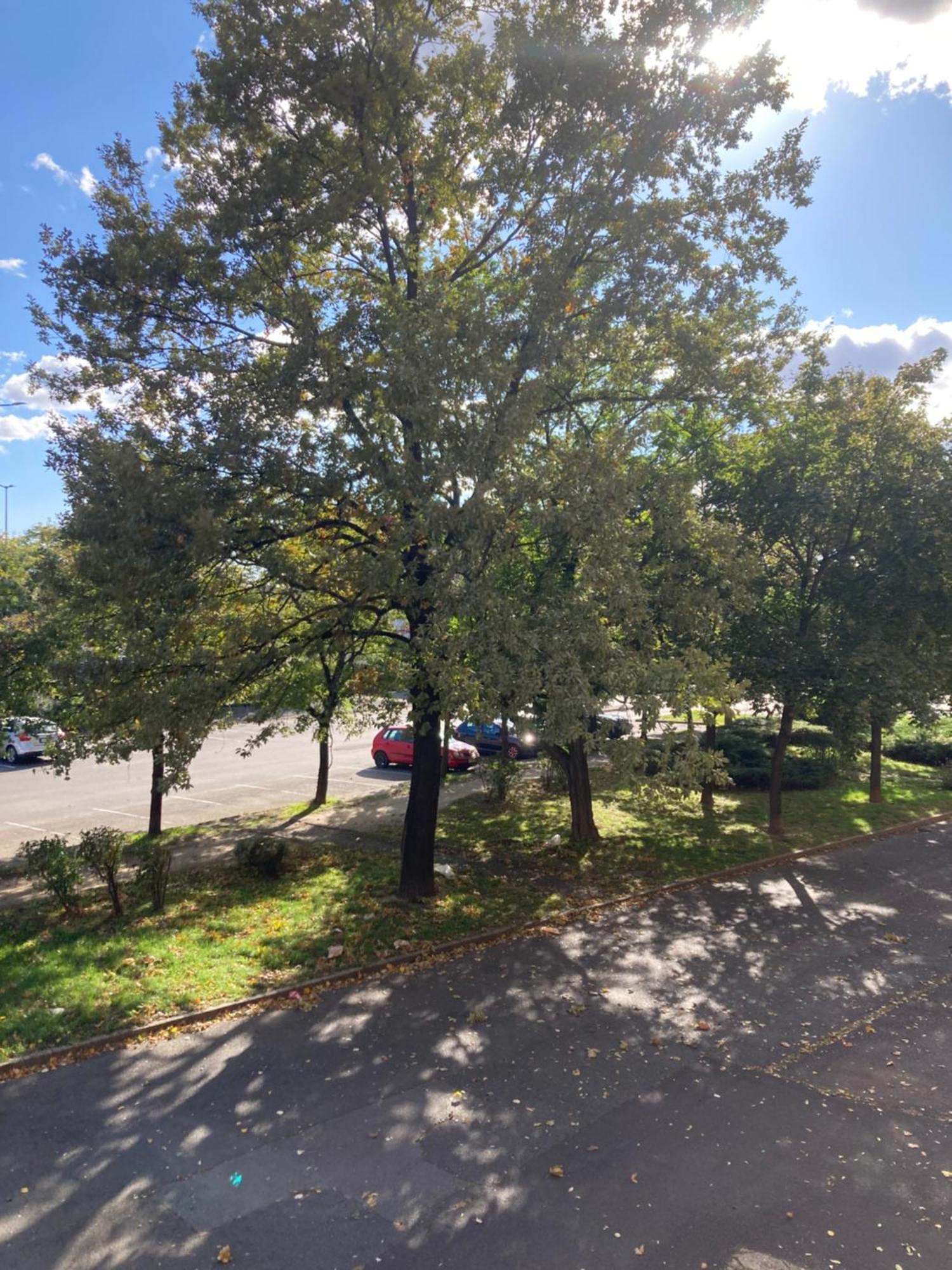 Belvarosi Classic Apartman 85 Square Meters Szombathely Bagian luar foto