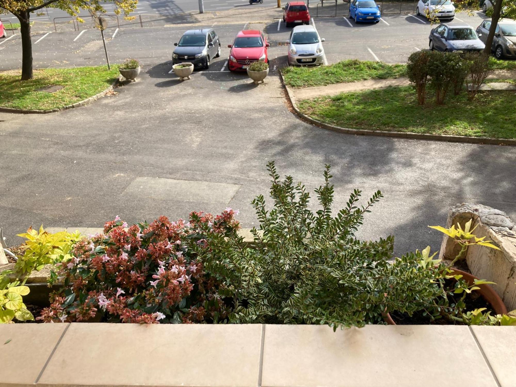 Belvarosi Classic Apartman 85 Square Meters Szombathely Bagian luar foto